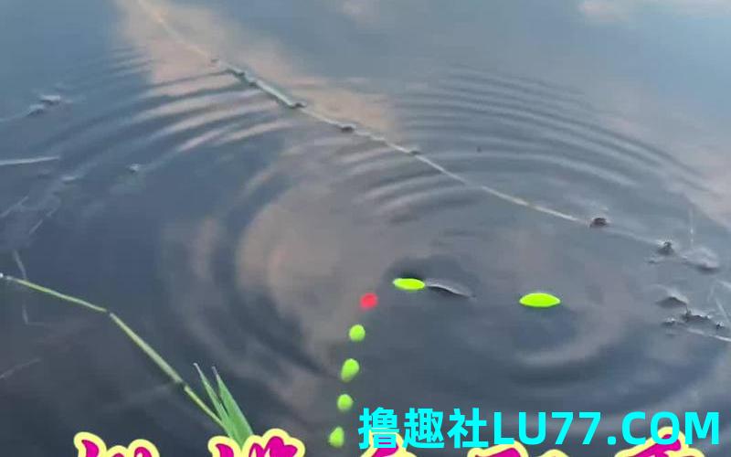 梦见漂