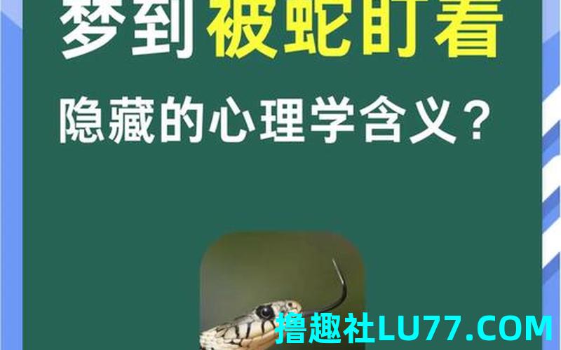 梦见被保户 梦见被保户
