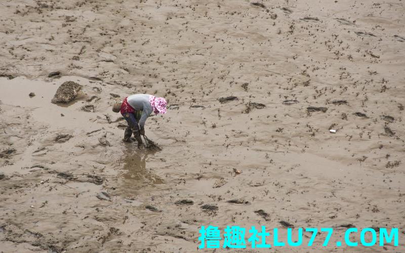 梦见自己陷入泥潭