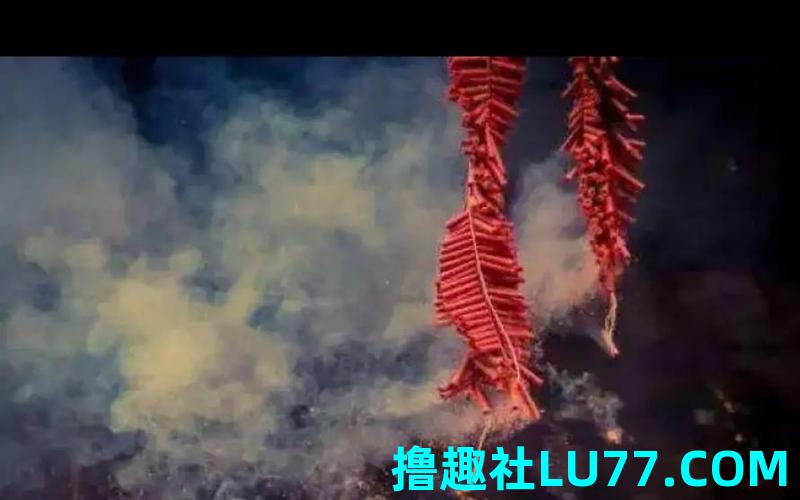 梦见鞭炮和是什么意思