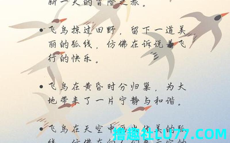 梦见飞鸟法是什么意思 梦见飞鸟法是什么意思