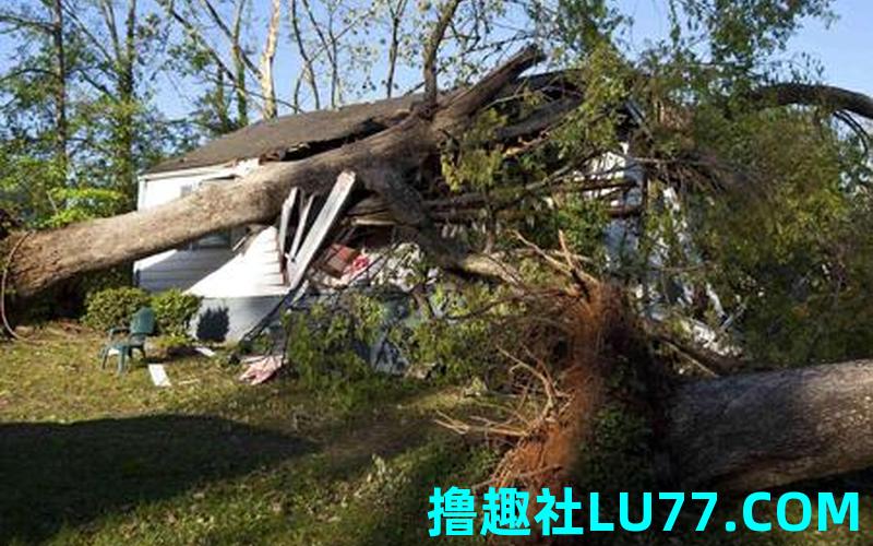 梦见淋 梦见淋