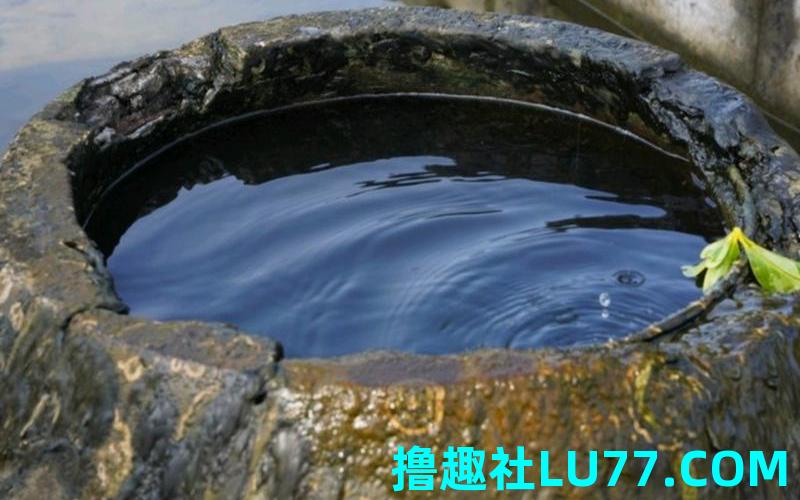 梦见钱点井