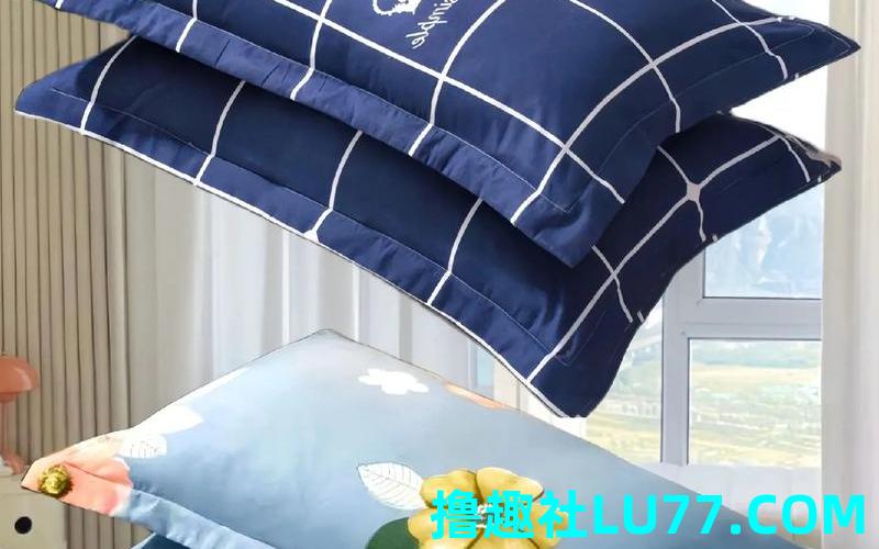 梦见捡枕套