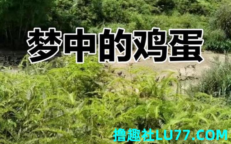 梦见蛋