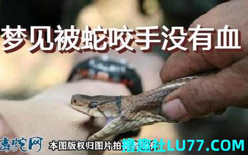 梦见蛇咬我不放