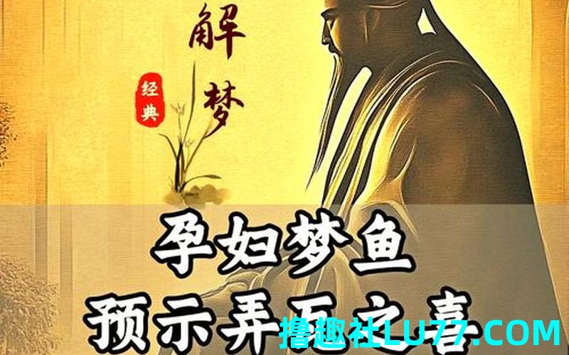 孕妇梦见好大一条鲤鱼