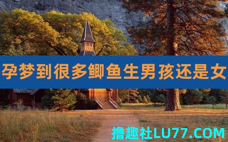 梦见钩 梦见钩