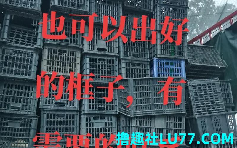 梦见自己卖筐