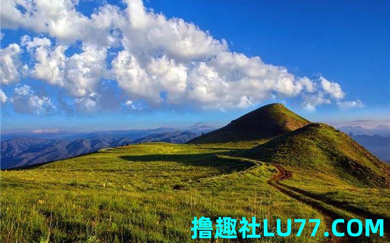 梦见山路窄 梦见山路窄
