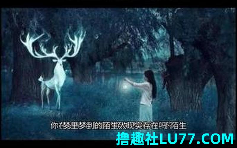 梦见在一个陌生的地方