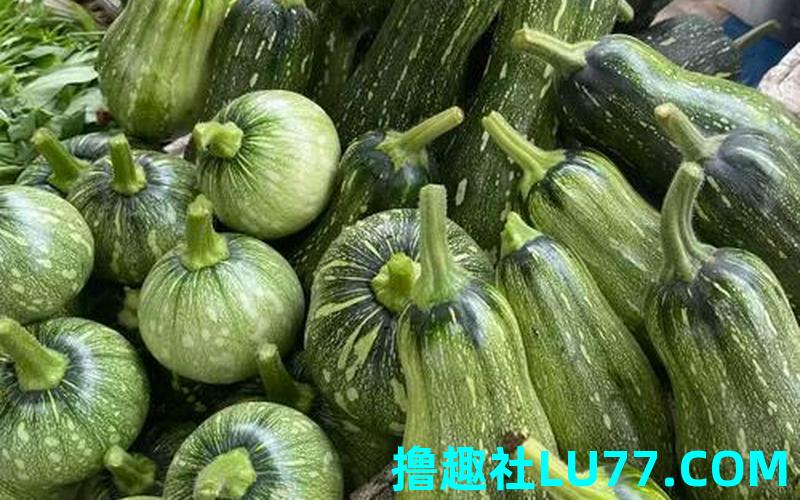梦见栽嫩南瓜 梦见栽嫩南瓜