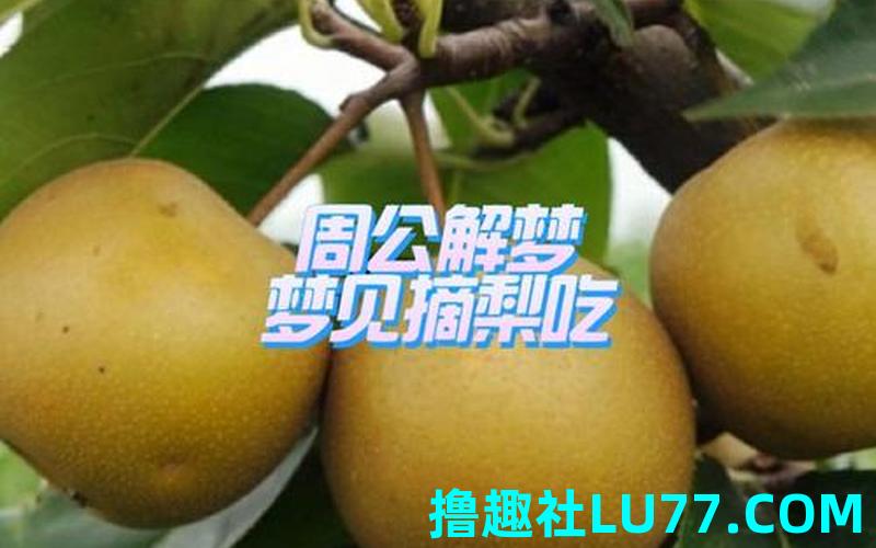 梦见 别人 送水果
