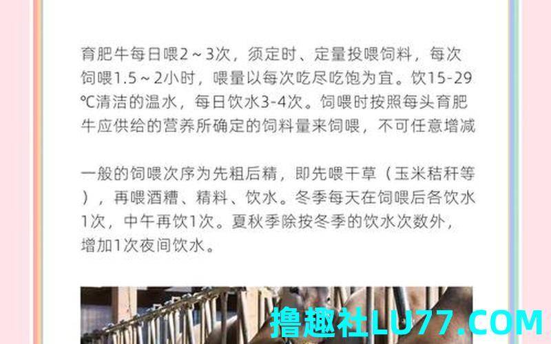梦见赶肥牛 梦见赶肥牛