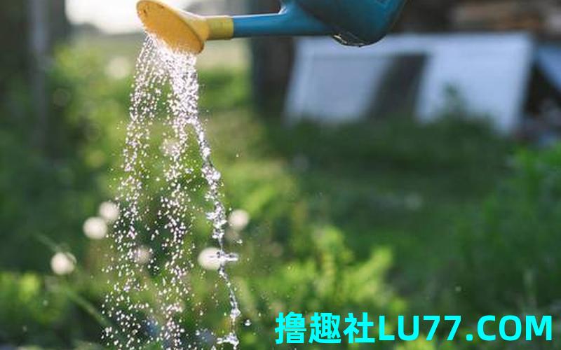 梦见给菜地浇水 梦见给菜地浇水