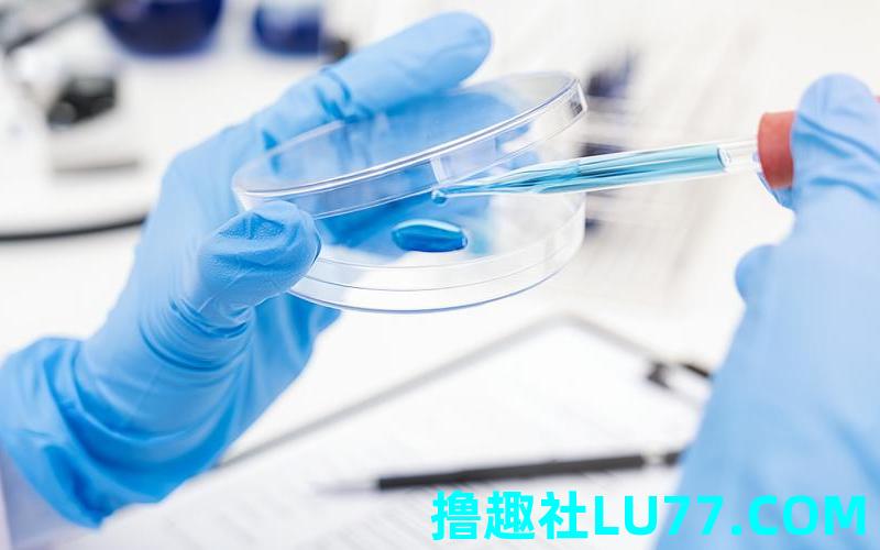 做梦见到皿