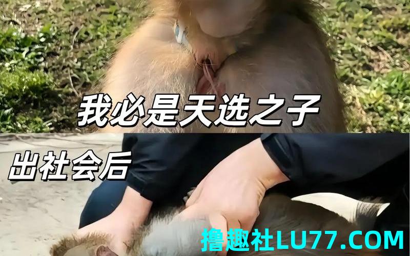 梦见马子踢我