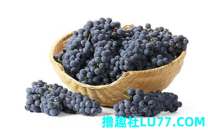 梦见很多葡萄吃葡萄
