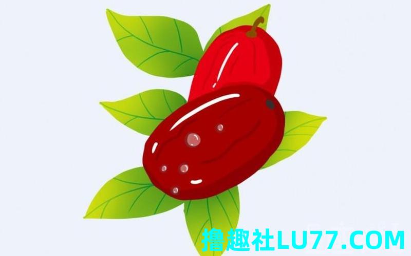 梦见给人枣