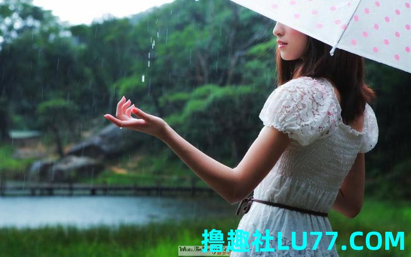 梦见伞周公 梦见伞周公