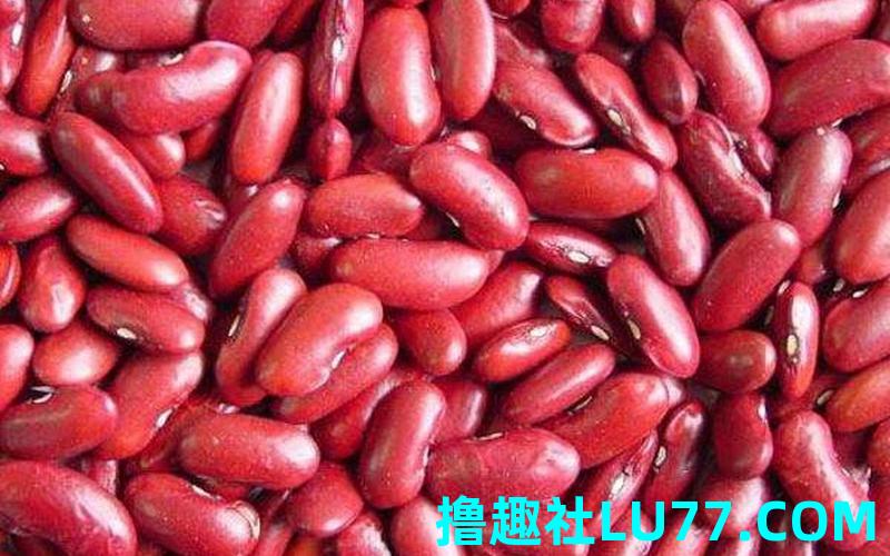 梦见芸 梦见芸