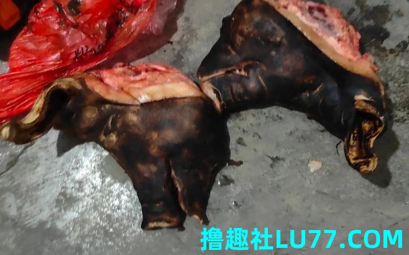 梦见肉尸