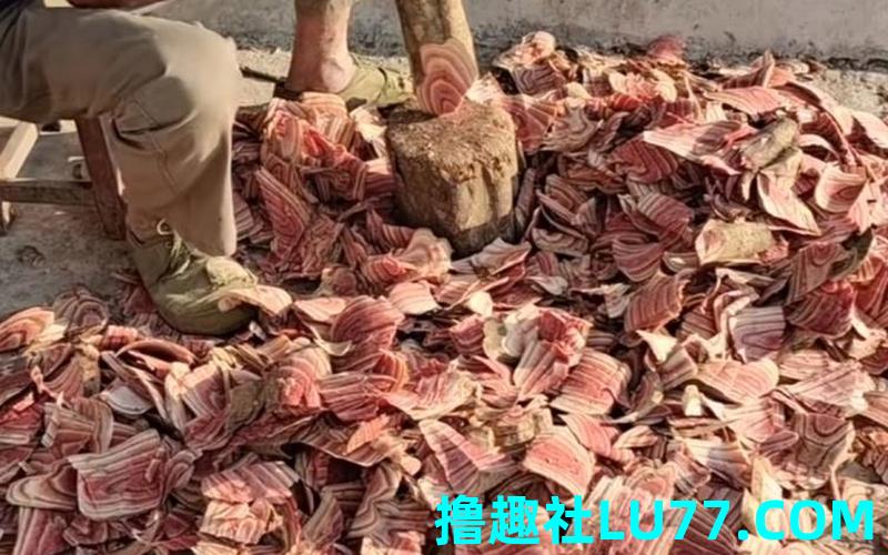 梦见收到好多钱