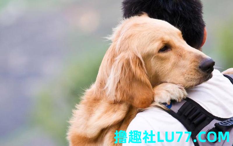 梦见男人背狗