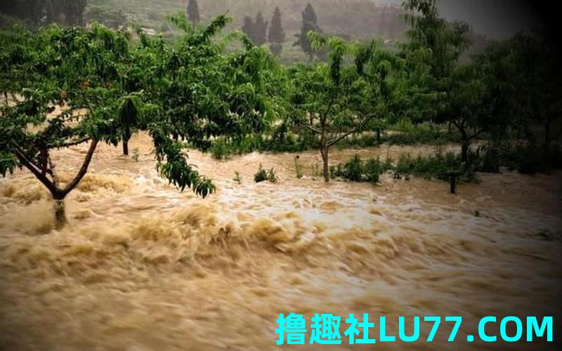 梦见马路被水淹了 梦见马路被水淹了