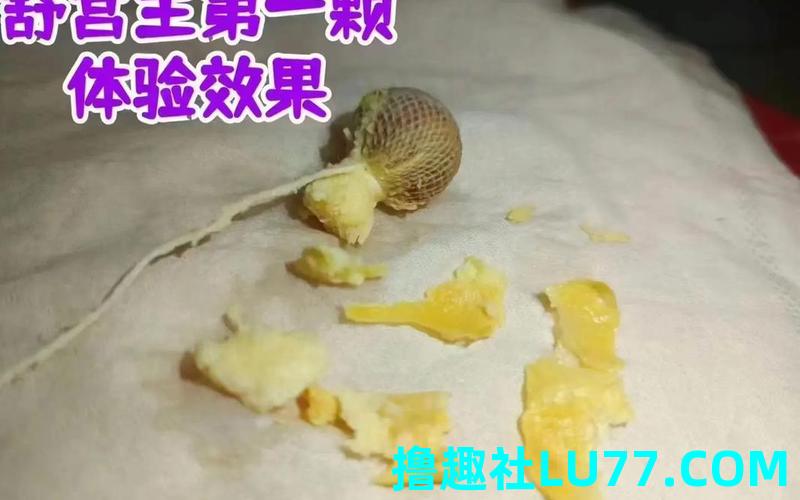 梦见污物从体内排出