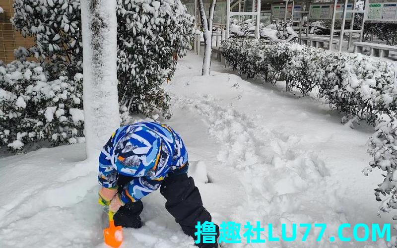梦见雪地玩