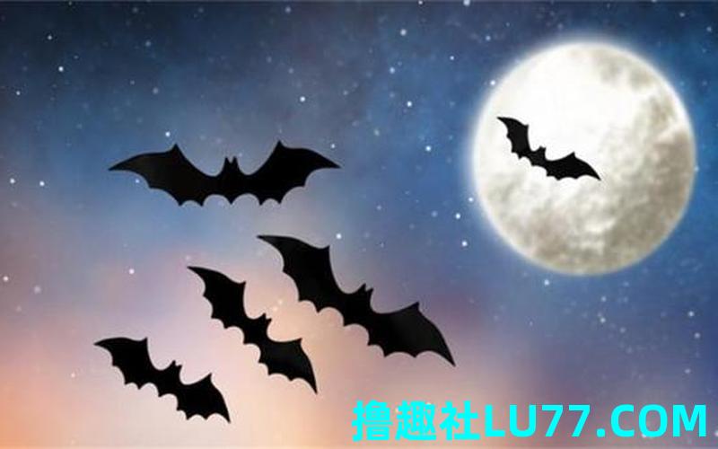 梦见蝙蝠咬自己