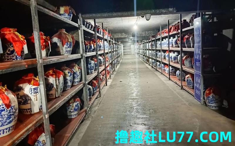 梦见窖 梦见窖