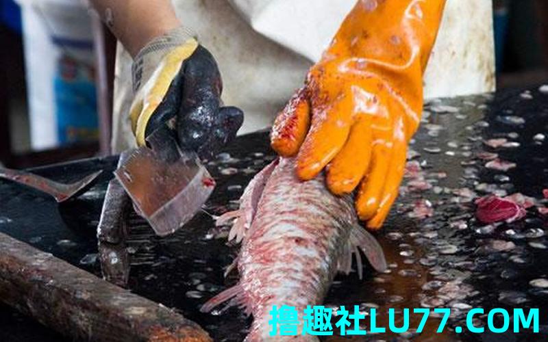 梦见鱼被宰 梦见鱼被宰