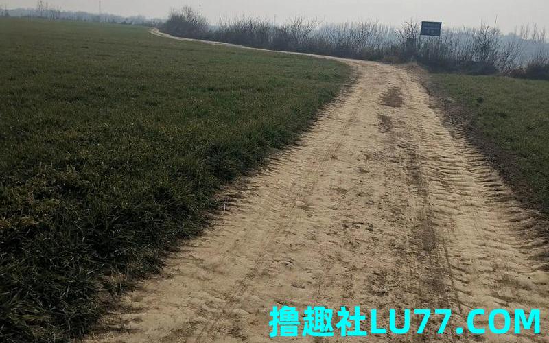 梦见走土路以