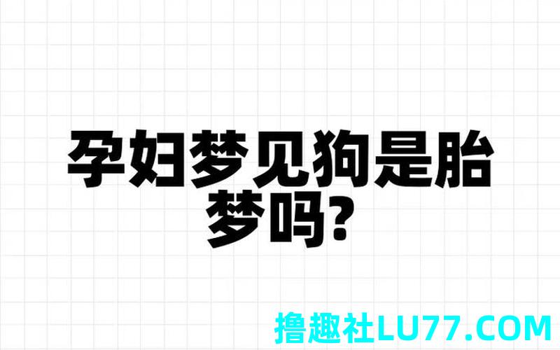 梦见