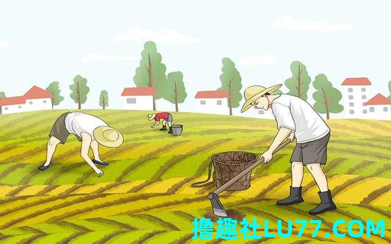 梦见耕种地