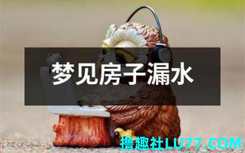 怀孕梦见屋里漏水