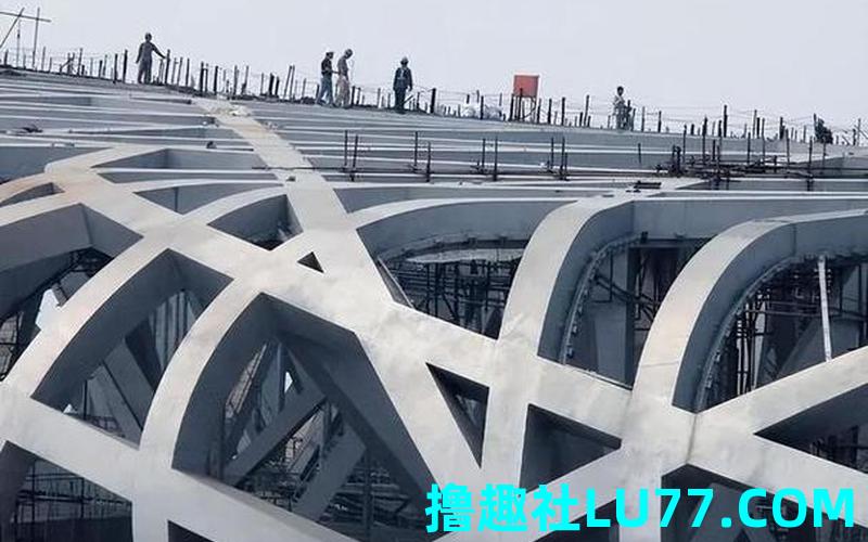梦见建鸟巢 梦见建鸟巢