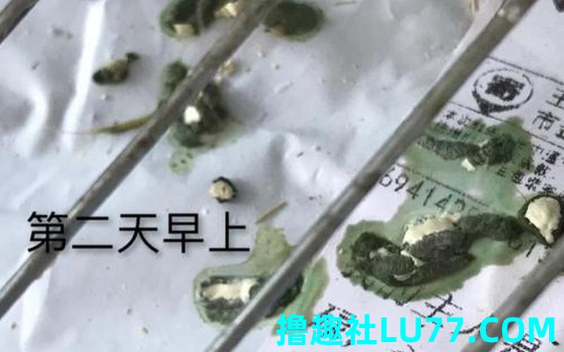 梦见虎大便
