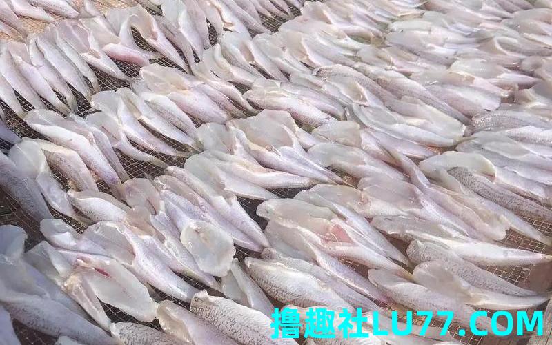 梦见看别人炸鱼