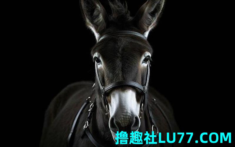 梦见黑色骡子