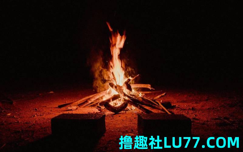 梦见藿