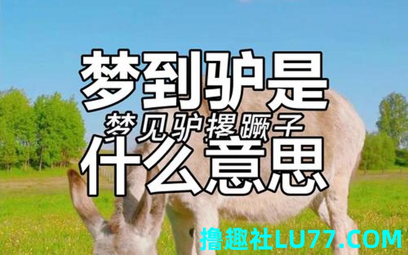 梦见我踢驴是什么意思