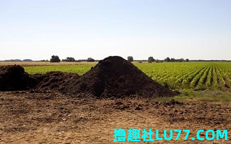 梦见施肥