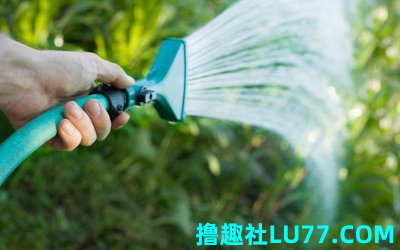 梦见房里浇水