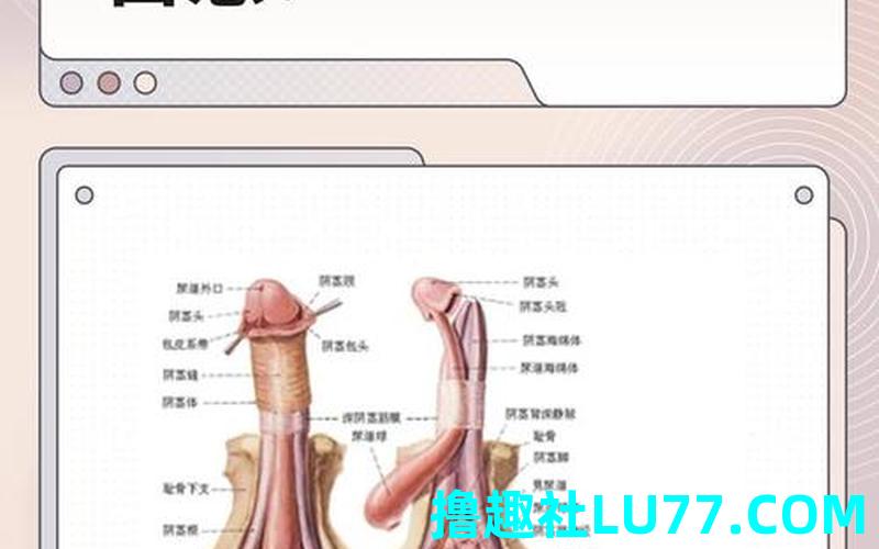 梦见尿到头 梦见尿到头