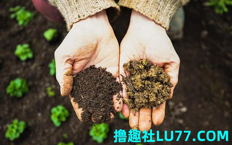 梦见自己手上泥土