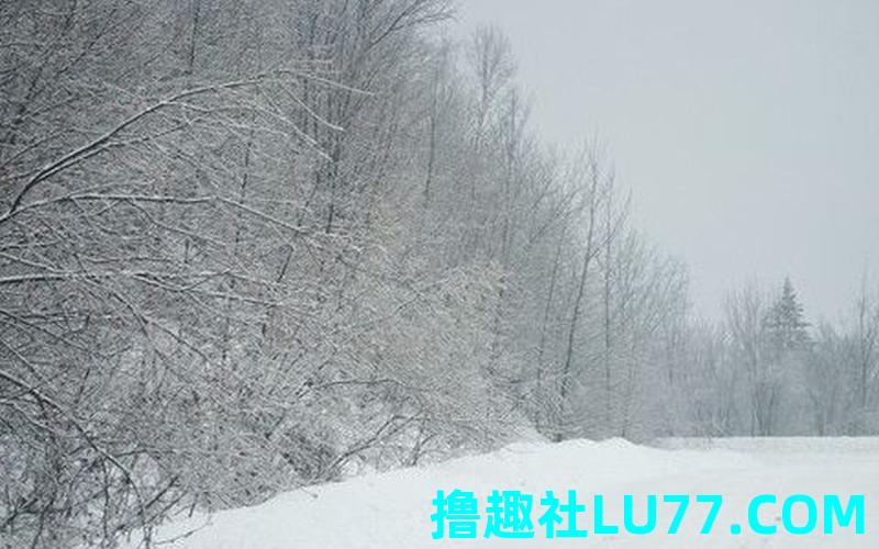 梦见雪地 周公解梦