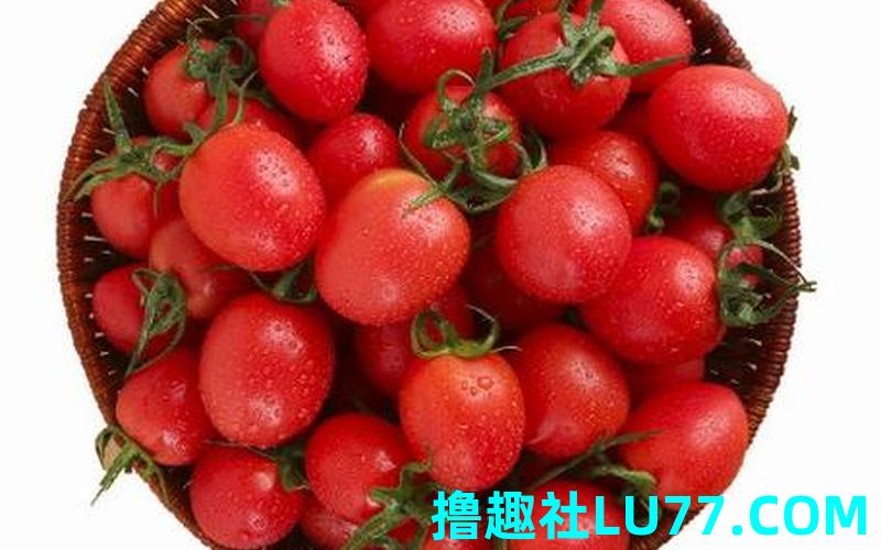 解梦梦见番茄